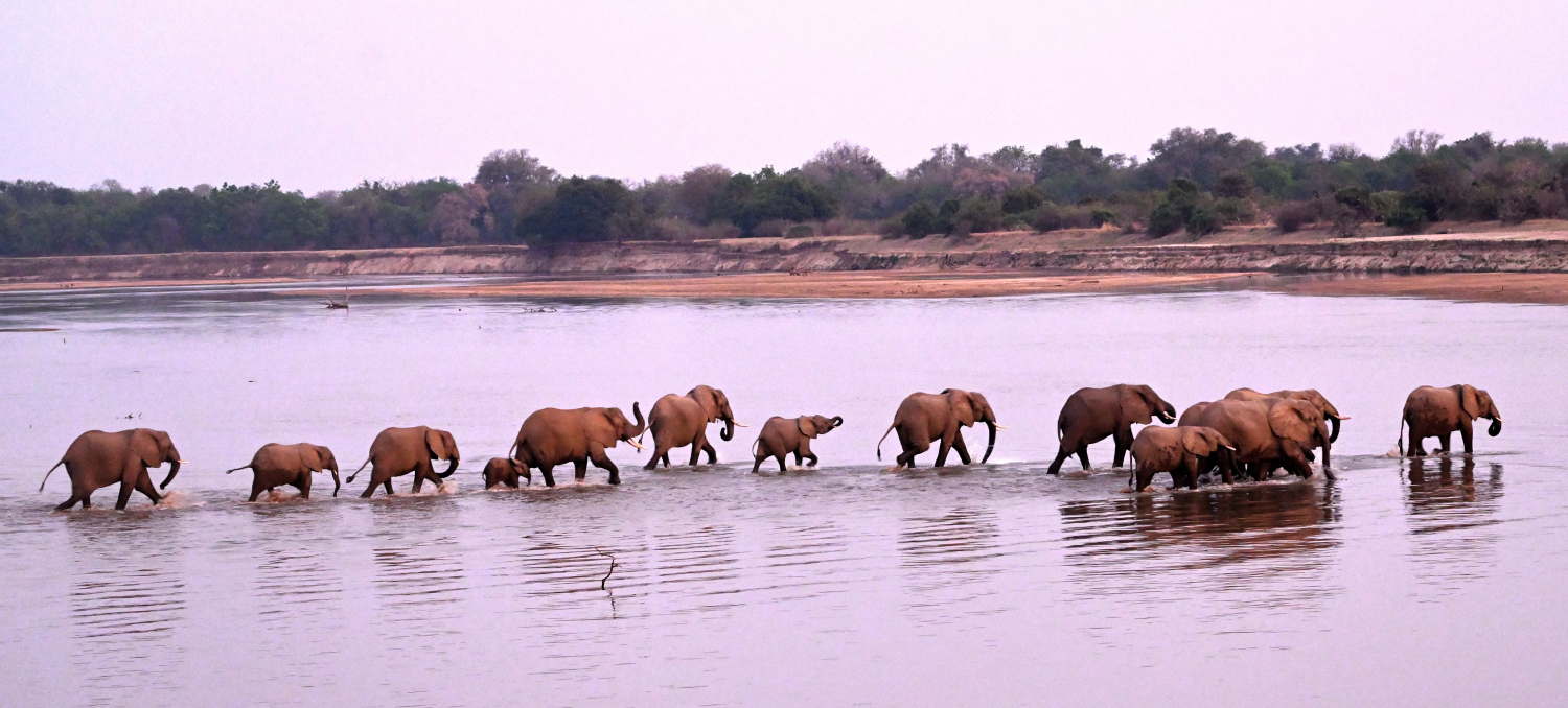 South Luangwa