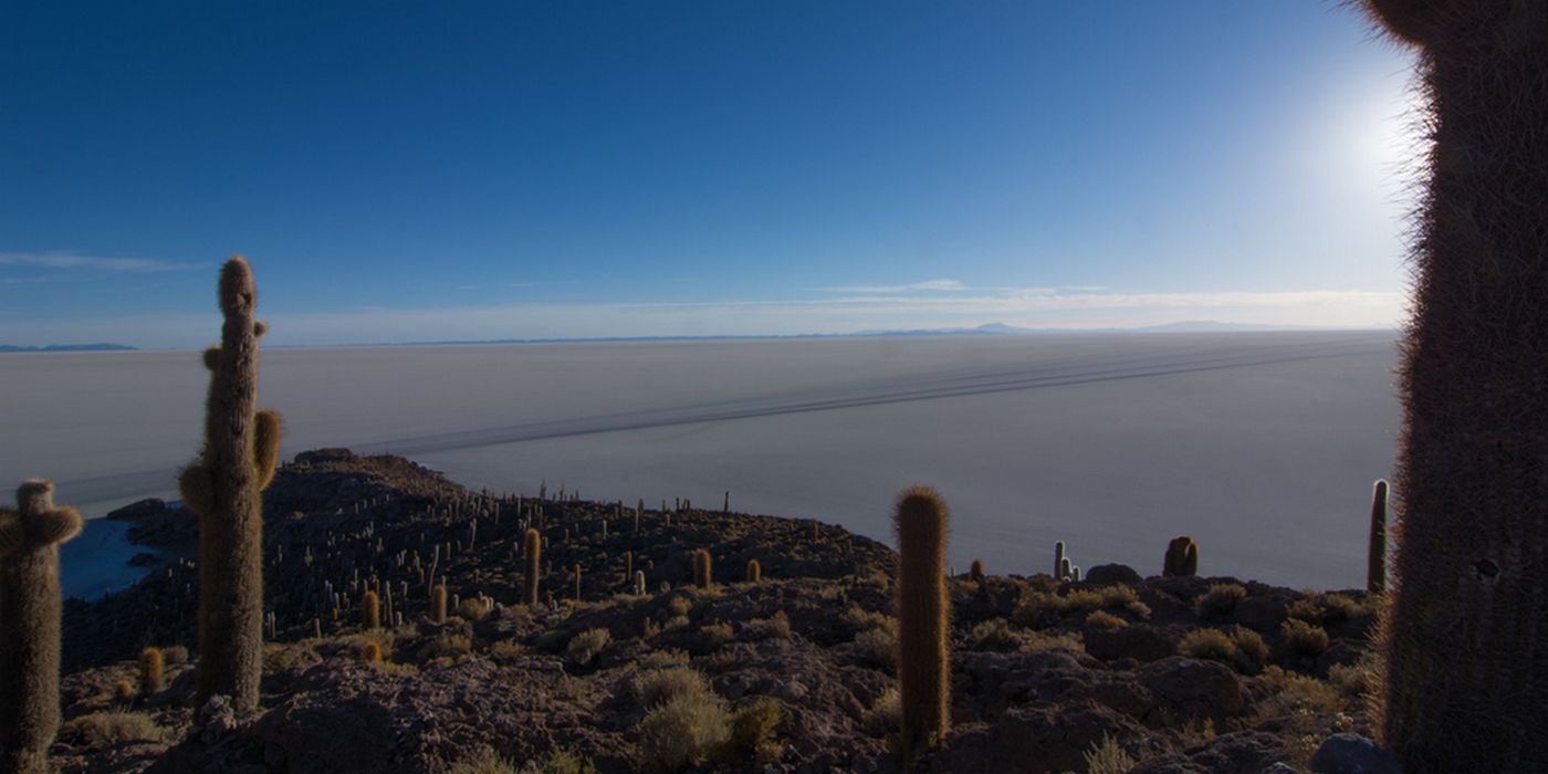 l'Isla Incahuasi et le Salar d'Uyuni