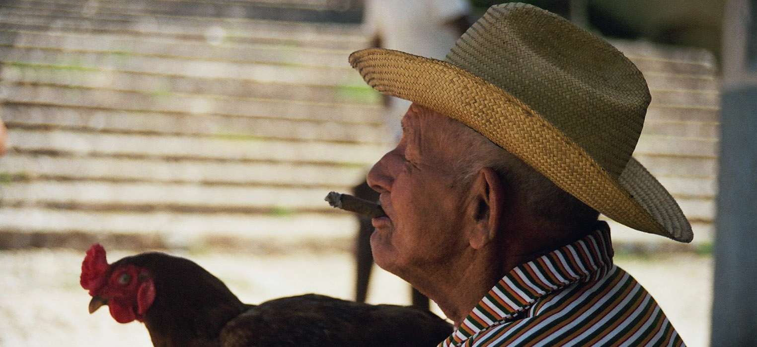 l'Homme au cigare et son coq