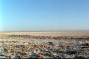 Makgadikgadi Pan