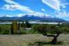 vue depuis une estancia au Lago Roca