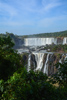 les chutes d'Iguazu (vue côté brésilien)