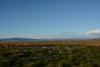 la laguna Nimez à El Calafate 