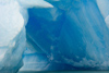 un iceberg d'un bleu intense dans le lac Argentino