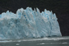 une extrémité du glacier Spegazzini