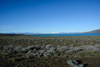 en patagonie, pampa, lac, iceberg et cordillère des andes, des paysages fantastiques