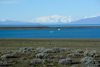 en patagonie, pampa, lac, iceberg et cordillère des andes, des paysages fantastiques