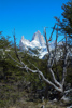 le Fitz Roy dans le parc national Los Glaciares 