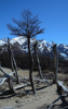 paysage du parc de Los Glaciares