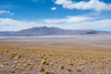 arrivée sur la laguna Colorada