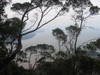 vue du Haut du Mont Santubong