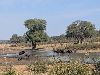 sur la route entre l'aéroport de Victoria Falls et Kasane
