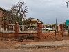 les phacochéres viennent se nourrir en ville