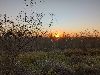 Non ce n'est pas un coucher de soleil mais son lever au camp de Xakanaxa
