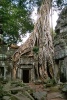 Ta Phrom