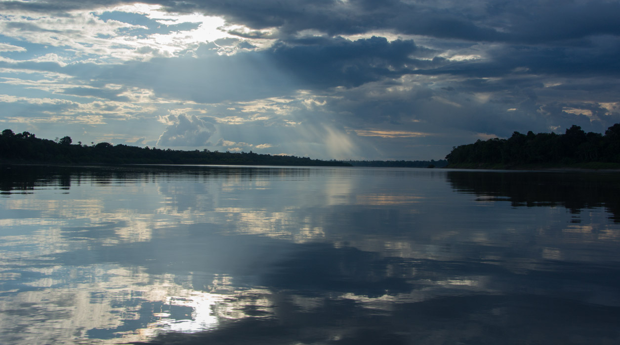 l'Amazonie