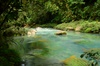 Le rio Celeste dans le Parque Volcan Tenorio