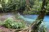 la jonction des eaux qui donnent le bleu du rio Celeste