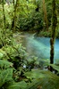 la jonction des eaux qui donnent le bleu du rio Celeste