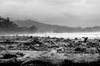 la plage de Dominical encombrée de bois mort suite aux divers orages