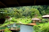 vue du Trogon Lodge par temps de pluie