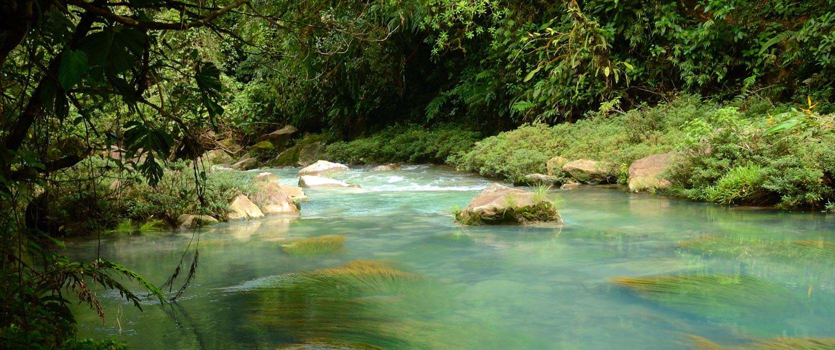 Le rio Celeste au volcan Tenorio