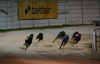 les lévriers dans le virage à Shelbourne Park avant l'arrivée