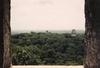 Tikal