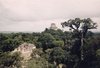 Site Maya