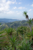 depuis le village rasta, vue sur Kingston au loin