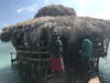 le Floyd's Pelican Bar à Black River