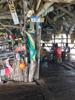 le Floyd's Pelican Bar à Black River