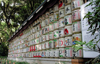 barils de saké du Meiji-jingu