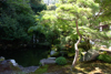 jardin japonais