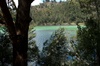 lac Telaga Warna sur le plateau de Dieng 