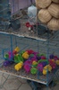 poussins multicolors au marché aux oiseaux de yogya 