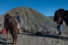 les tenggers avec leurs chevaux 