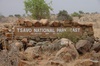 Tsavo East NP