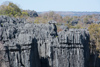 Vue des Tsingy de Bemahara avec les Sifakas