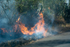 le feu de brousse va traverser la RN7