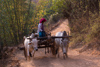 transport du bois sur une petite route de montagne, entre Kalaw et Inle