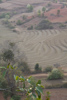 rizières en terrasse à la saison sèche