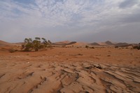 les dunes de Sossusvlei