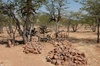 cimetière chez les Himbas