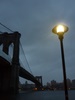 Pont de Brooklyn matin de Sandy