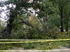 dégats à Central Park aprés Sandy