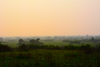 paysage d'afrique au petit matin
