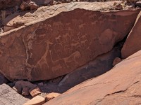 les animaux de la savane