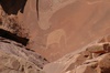 un éléphant gravé