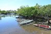barques de pêcheurs dans la mangrove